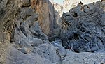 z14_wadi bani awf-snake_canyon (1).jpg