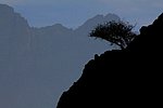 z14_wadi bani awf-snake_canyon (5).jpg