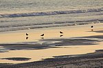 z21_coast_road (2).jpg