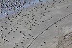 z22_taqah-coast_road (3).jpg