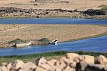 z26_khowr_rouri (2).jpg