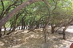 z28_wadi_darbat (2).jpg