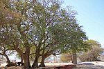 z28_wadi_darbat (7).jpg