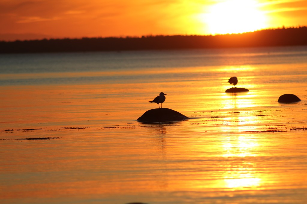 russia___tramonto_sul_mar_bianco.jpg