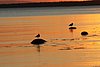 russia___tramonto_sul_mar_bianco__1_.jpg
