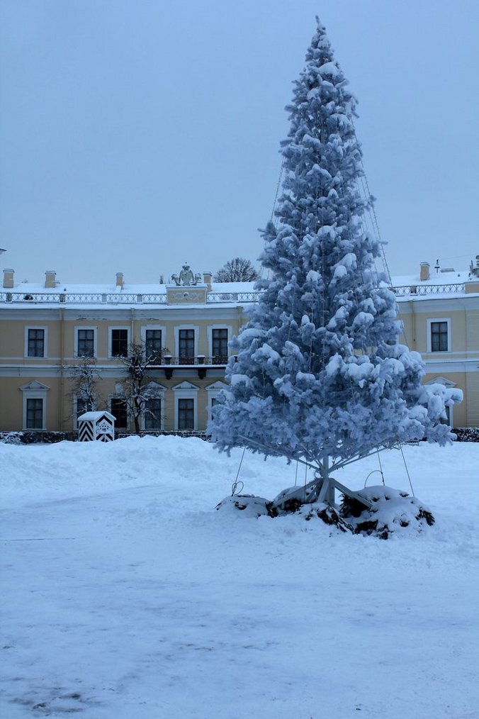 p pavlovsk (3).JPG
