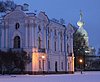 a spb smolny (3).jpg