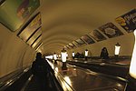 mosca-metro (1).JPG
