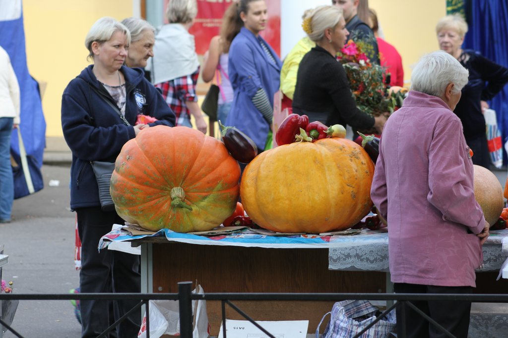 Kronstadt - festa popolare (8).JPG