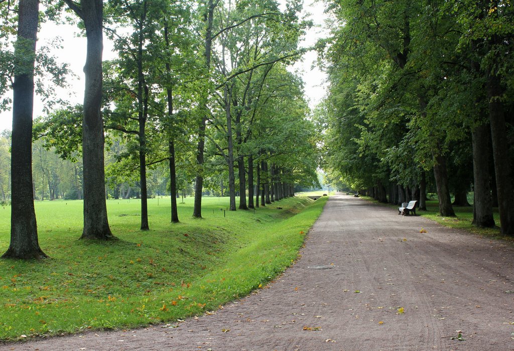 lomonosov (26).JPG