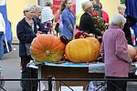 Kronstadt - festa popolare (8).JPG