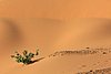 resi_f meroe (39).jpg