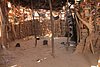 resi_g pista per naga (10).jpg