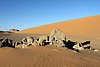 resi_v4 campo 1 062 (7).jpg
