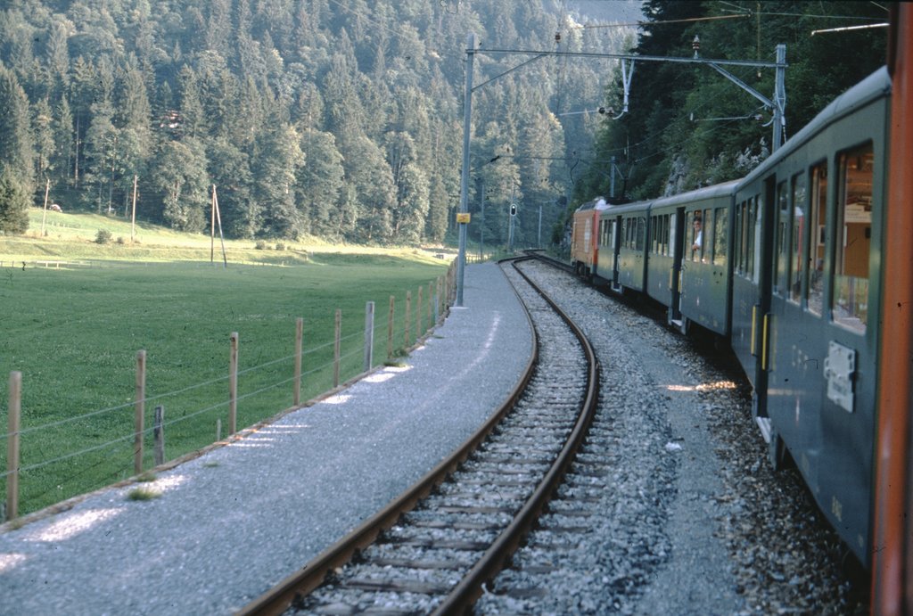svizzera0041.jpg