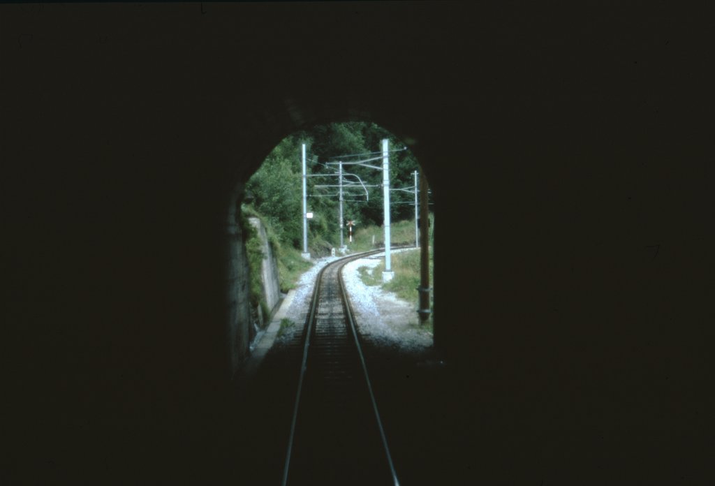 svizzera0052.jpg