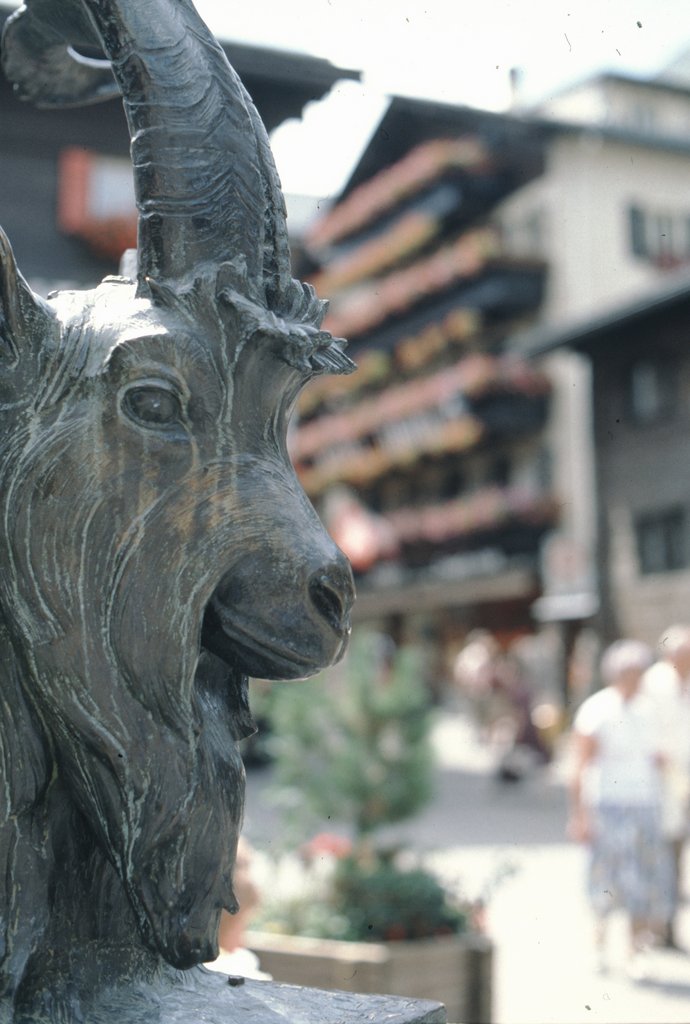svizzera0067.jpg