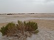 P6160011.JPG