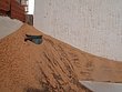P6170028.JPG