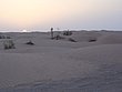 P6190043.JPG