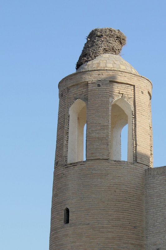 resi_d bukhara (242).jpg