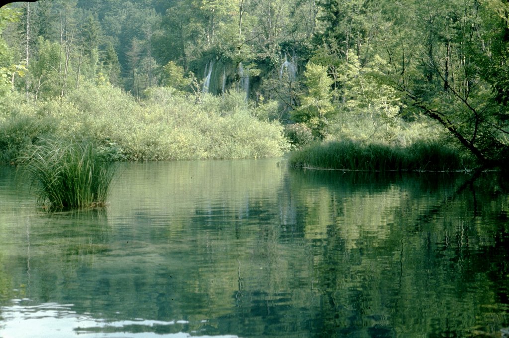 yugo1951-plitvice (36).jpg