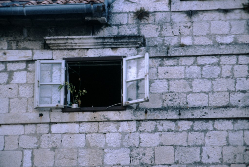 image0007.jpg