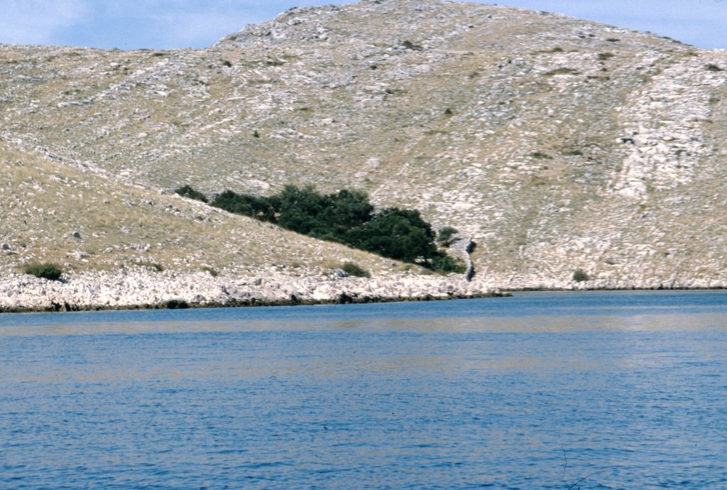 image0018.jpg