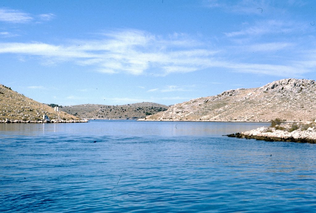 image0019.jpg