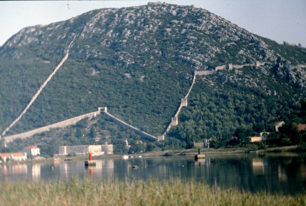 image0061.jpg