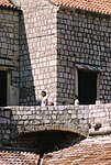 image0070.jpg