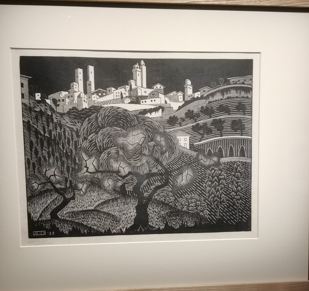 b padova - mostra opere di  escher (2).jpg