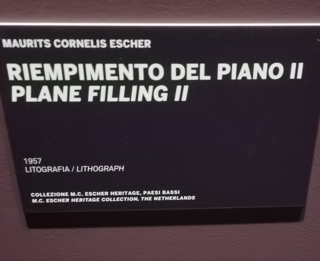 b padova - mostra opere di  escher (3).jpg