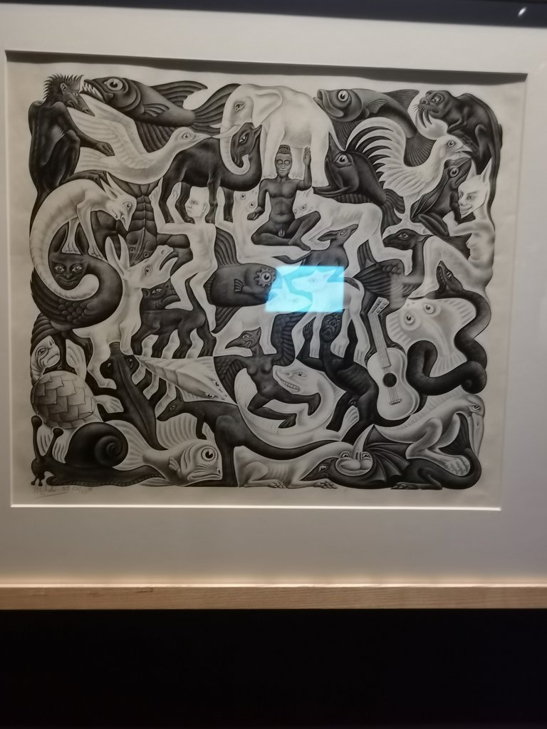 b padova - mostra opere di  escher (4).jpg