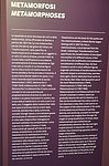 b padova - mostra opere di  escher (5).jpg