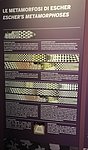 b padova - mostra opere di  escher (6).jpg