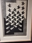 b padova - mostra opere di  escher (9).jpg
