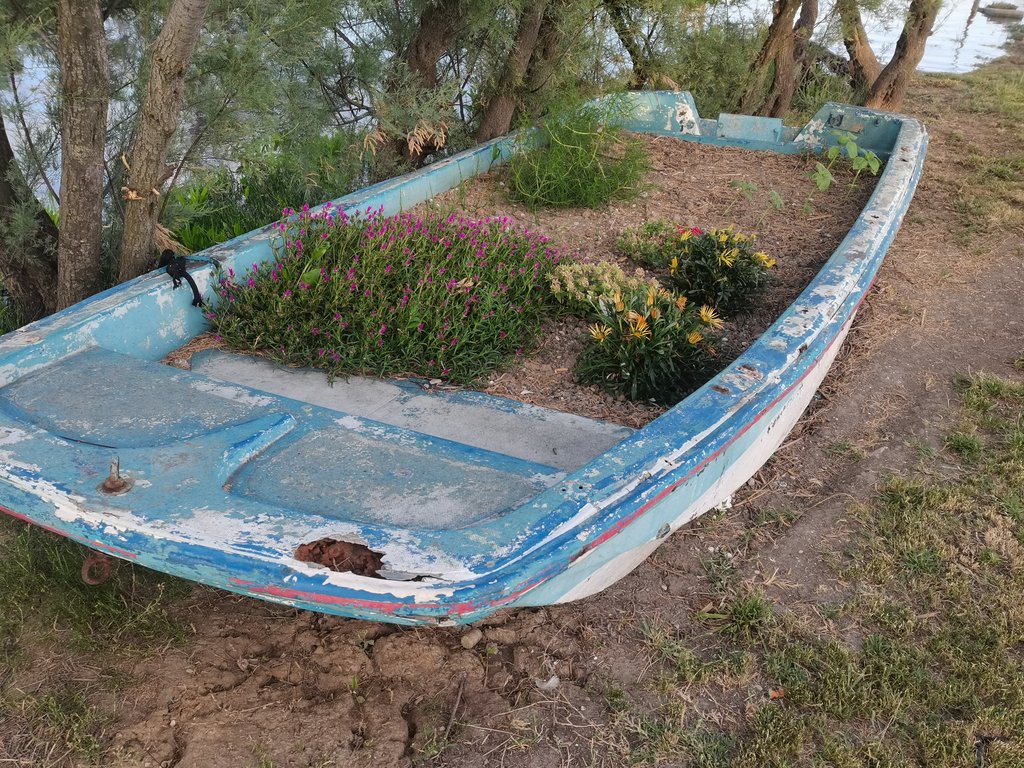 c boschettona - millecampi (10).jpg