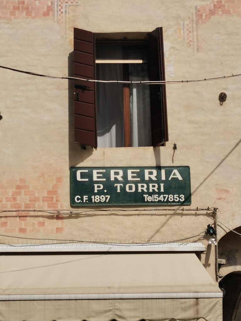 f treviso  (12).jpg