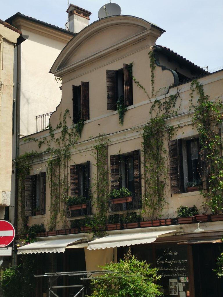 f treviso  (13).jpg
