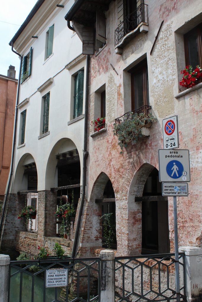 f treviso  (22).JPG