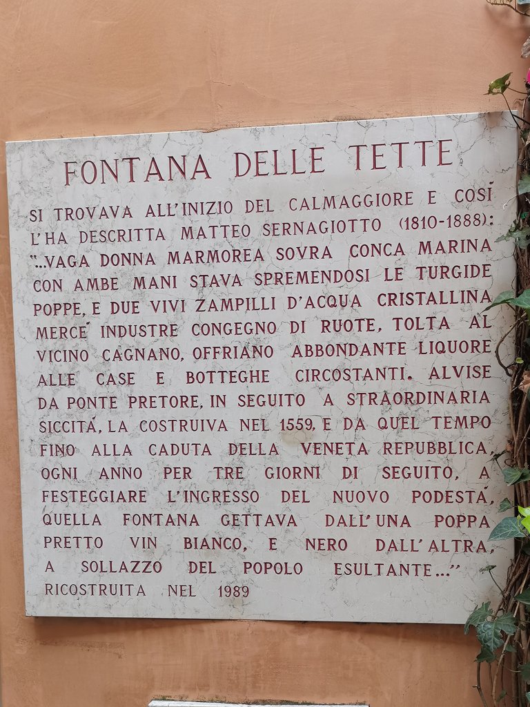 f treviso  (25).jpg