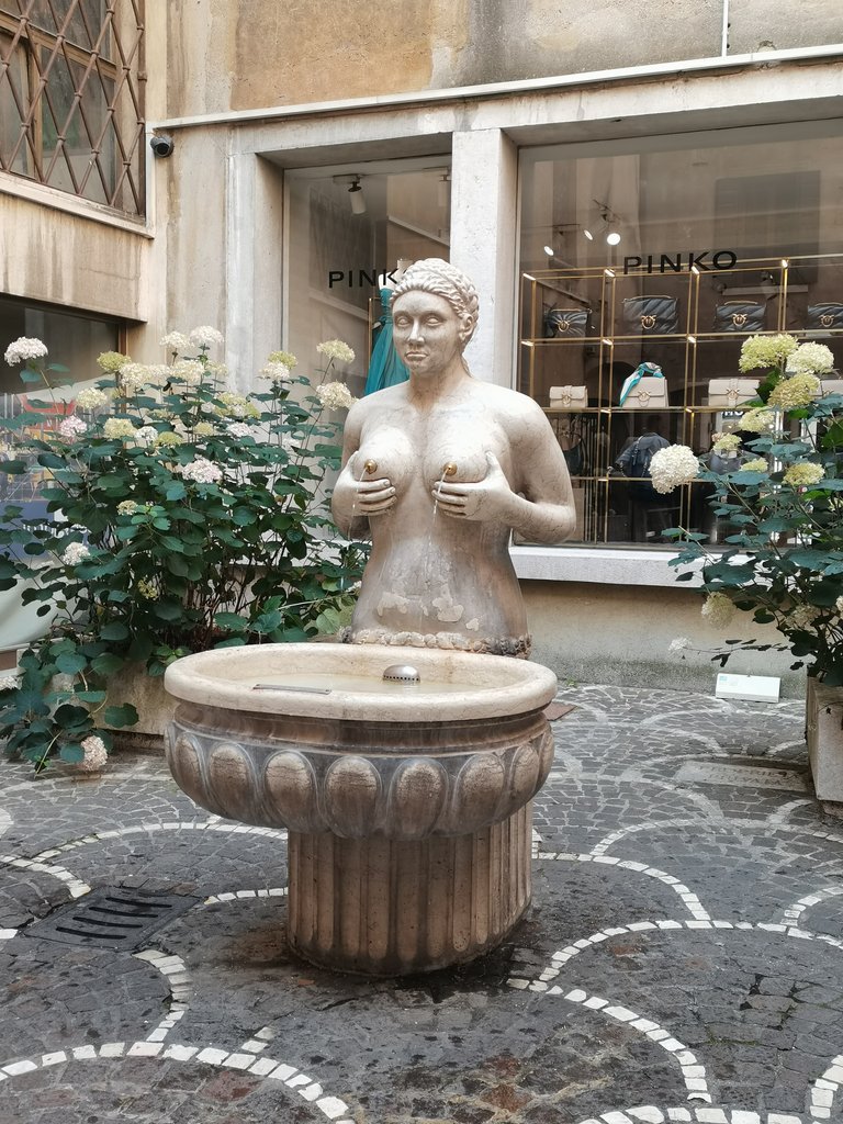 f treviso  (27).jpg