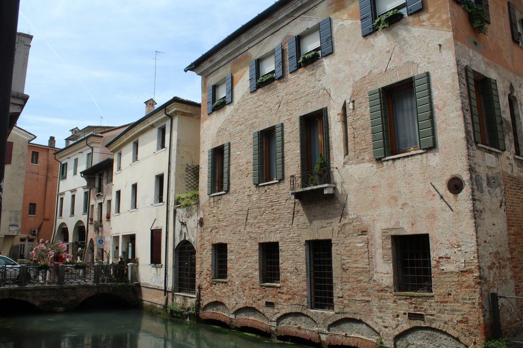 f treviso  (3).JPG
