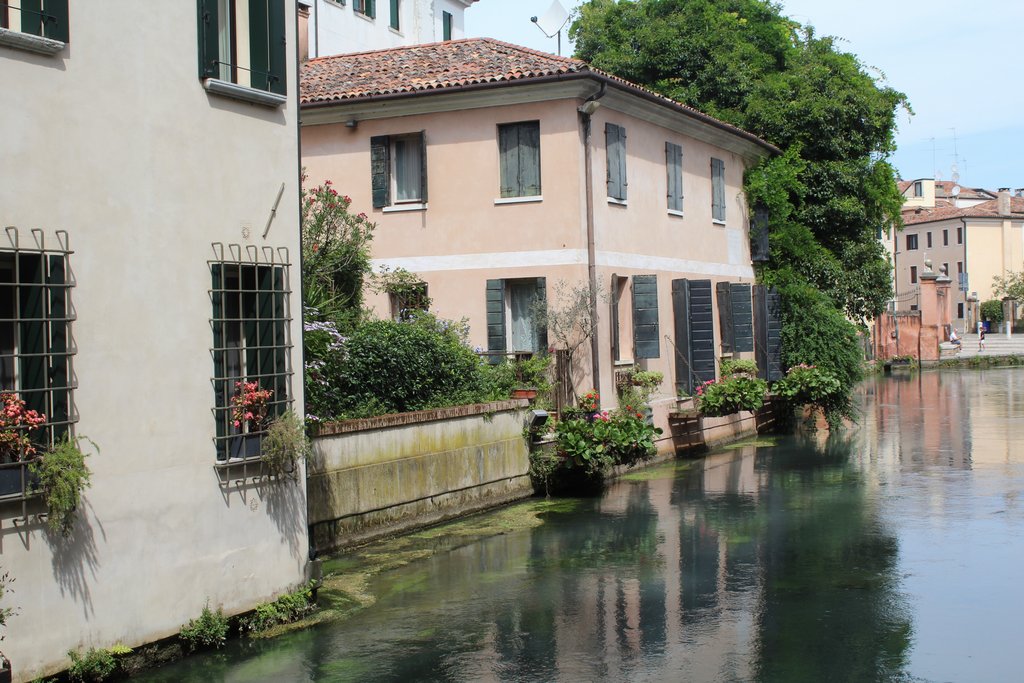 f treviso  (4).JPG