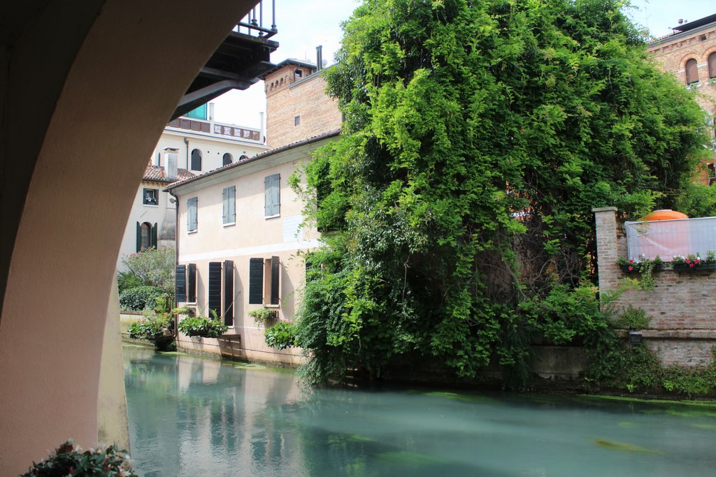f treviso  (6).JPG