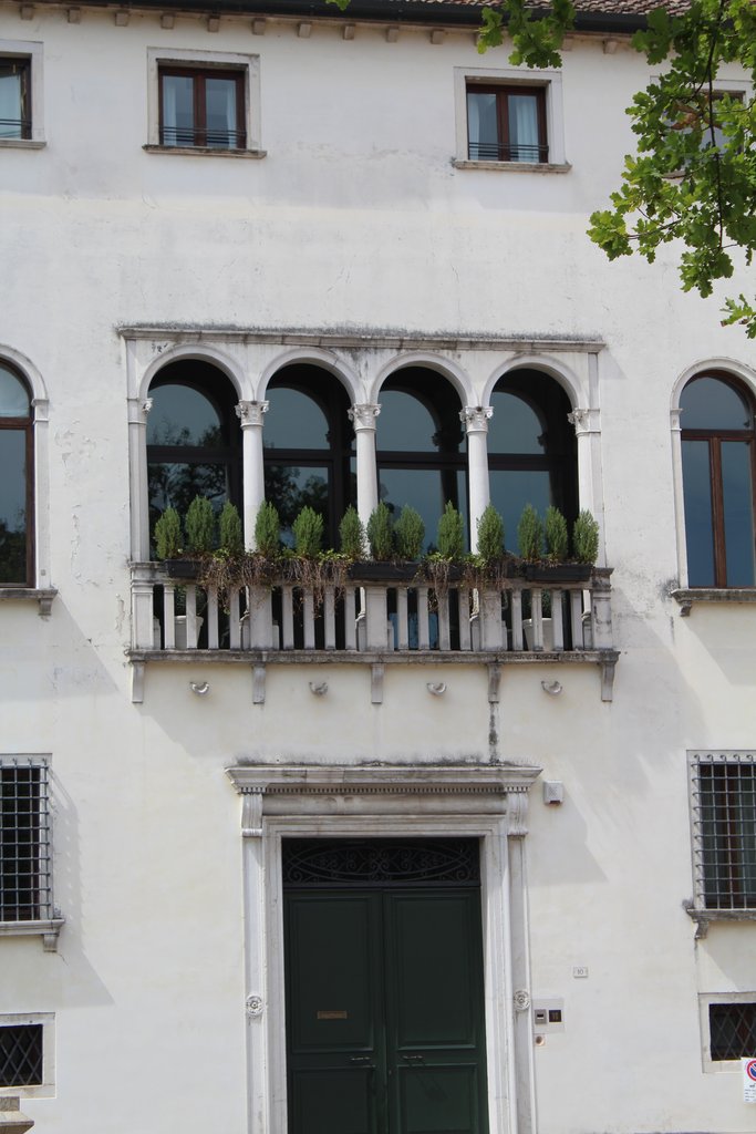 f treviso  (8).JPG