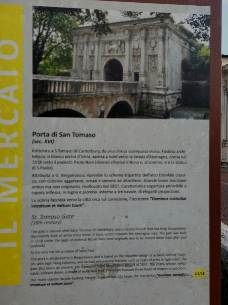 f treviso (1).jpg