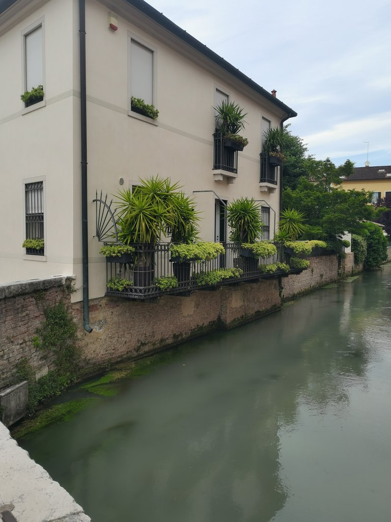 f treviso (103).jpg
