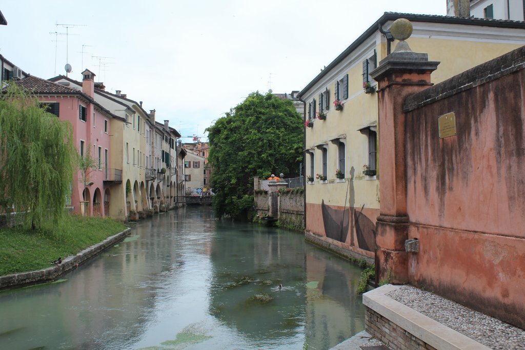 f treviso (13).JPG